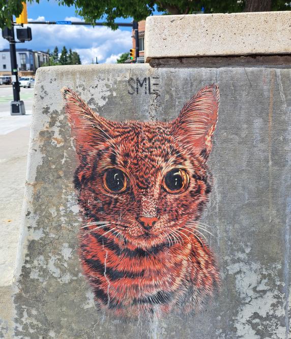 Cat by Smile