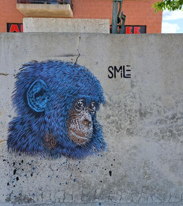 Monkey by Smile